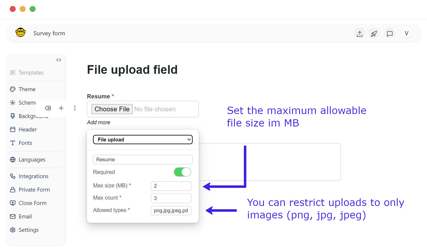 File upload field option